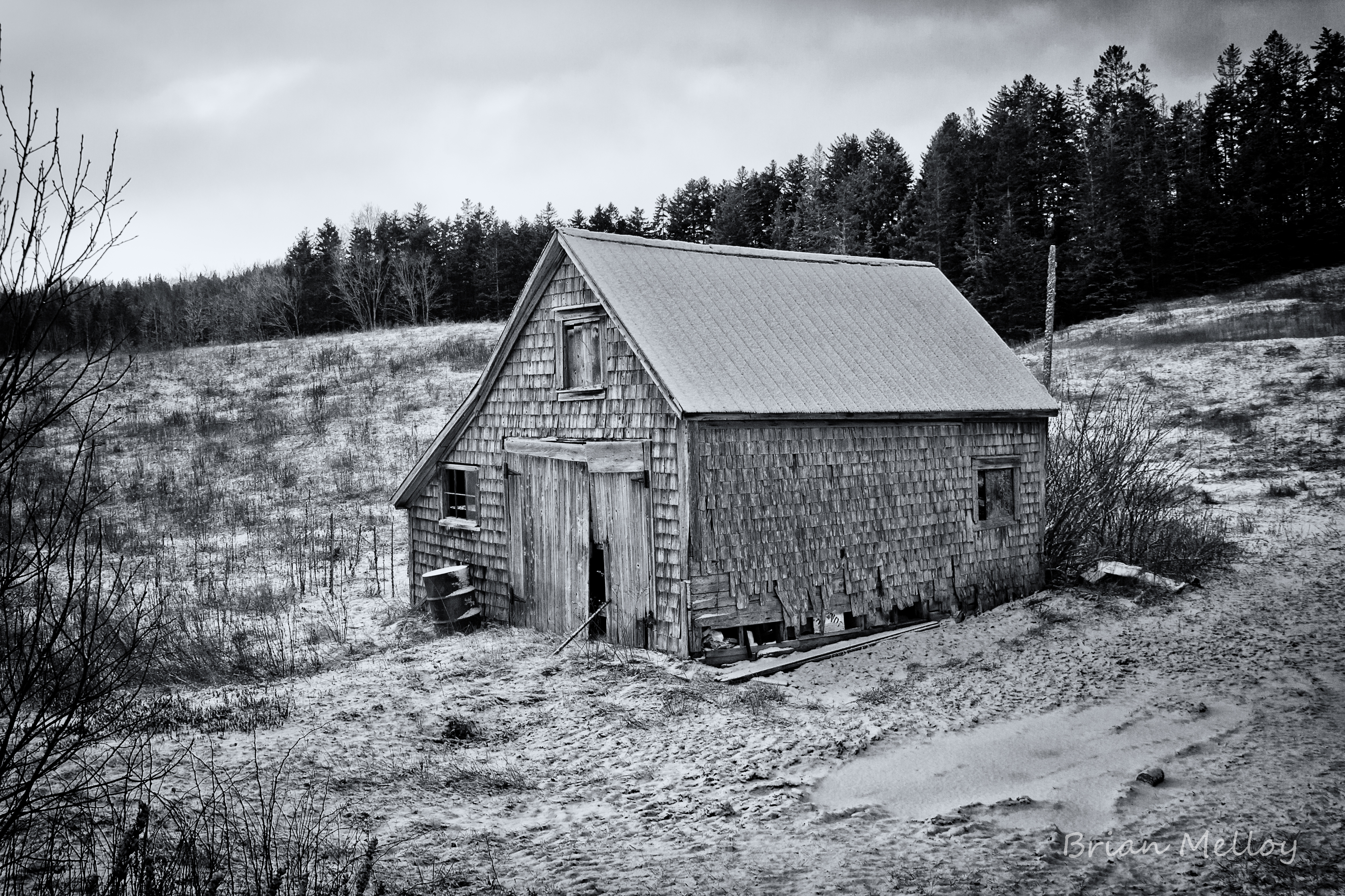 abandoned shed